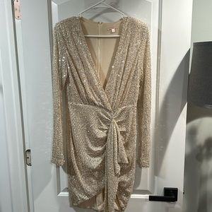 Mini sequin long sleeve zip up back dress. Size Large.